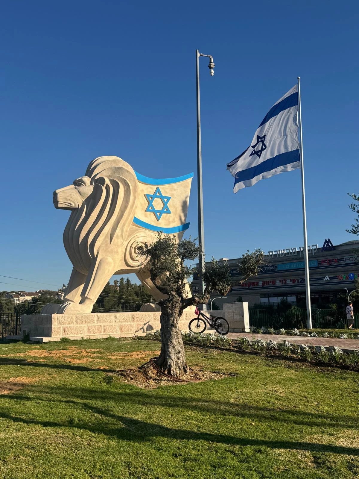 מבט קרוב על אריה עם כלביא במבשרת ציון עם מגן דוד ודגל ישראל