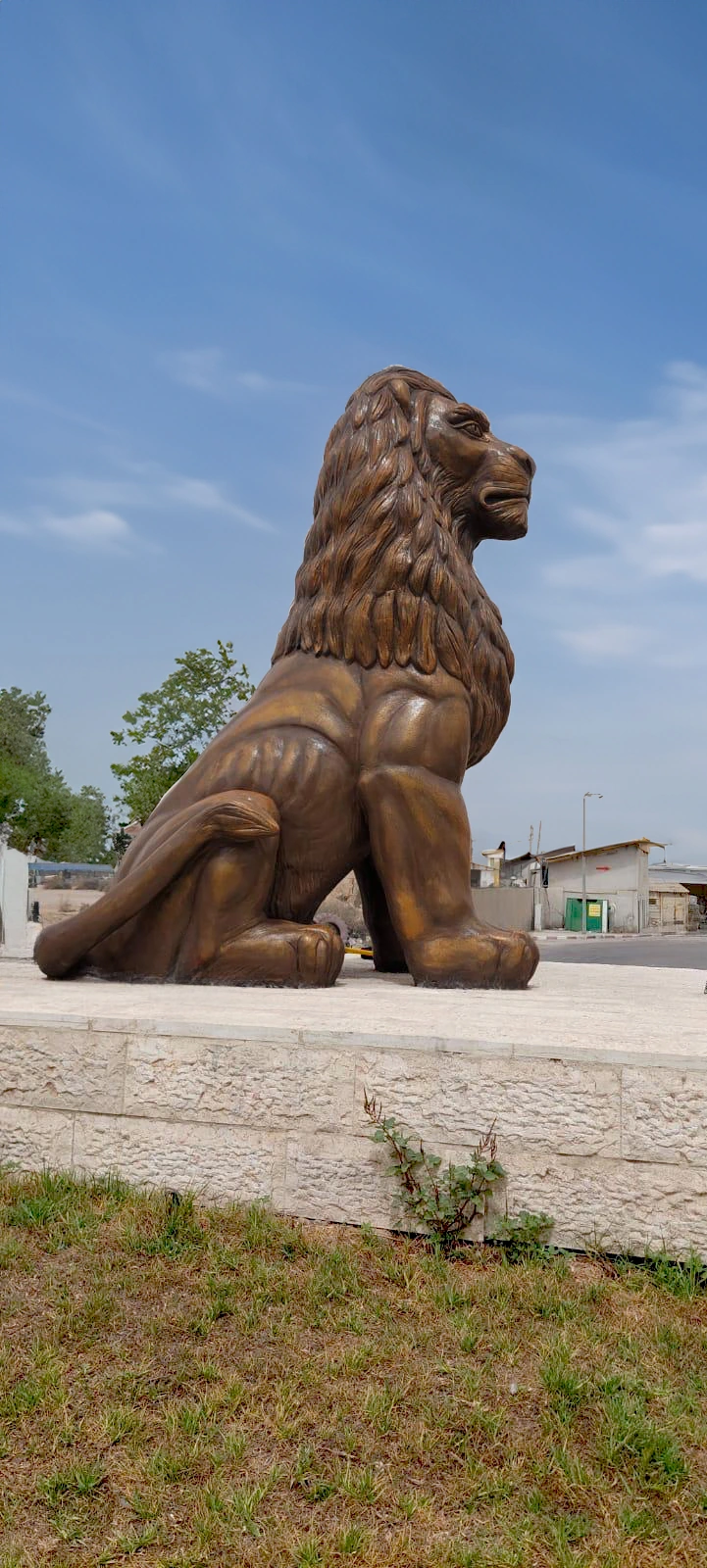 מבט צד על אריה דימונה של סם פיליפ, היושב על בסיס אבן