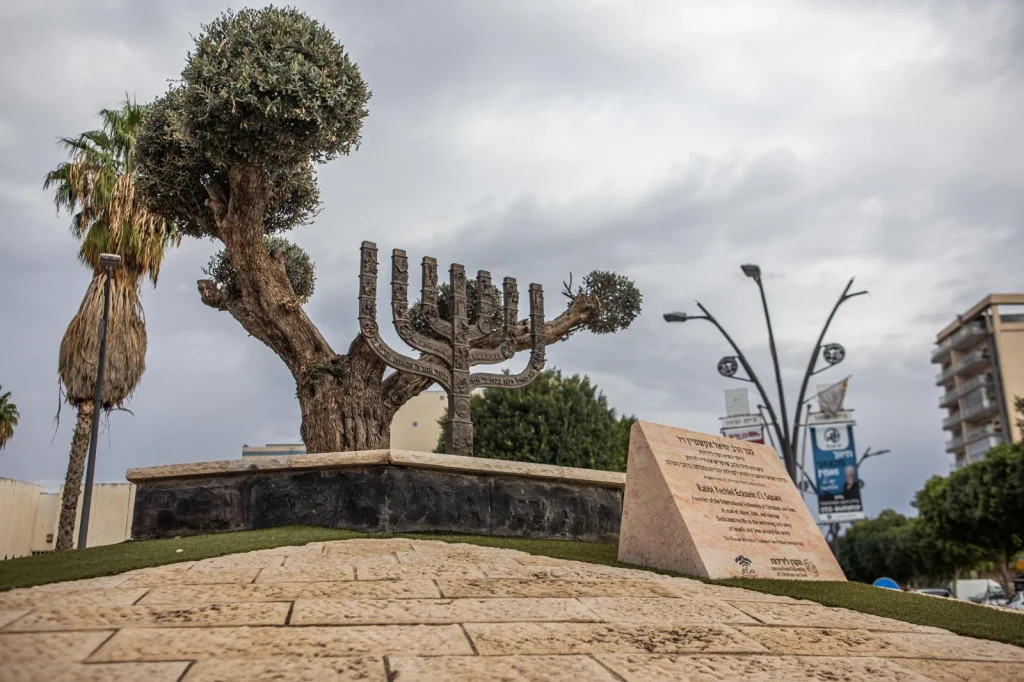 מנורת ברונזה משולבת בגזע וענפי עץ זית בכיכר עירונית, לצד לוחות הסבר