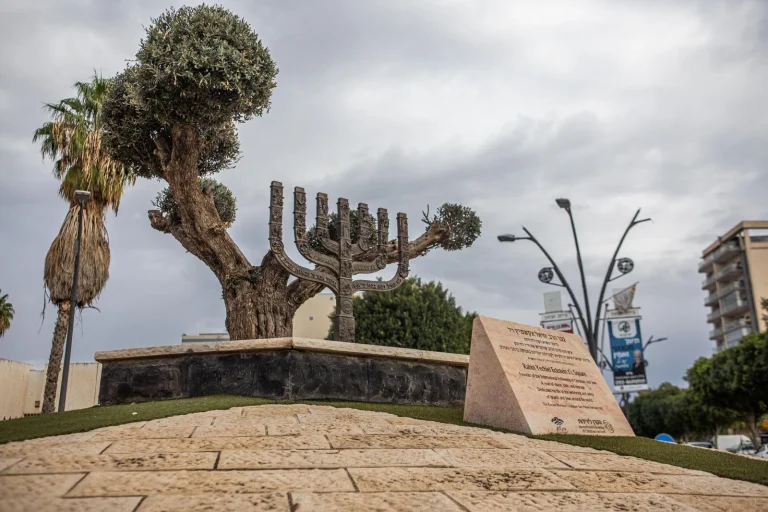 מנורת ברונזה משולבת בגזע וענפי עץ זית בכיכר עירונית, לצד לוחות הסבר