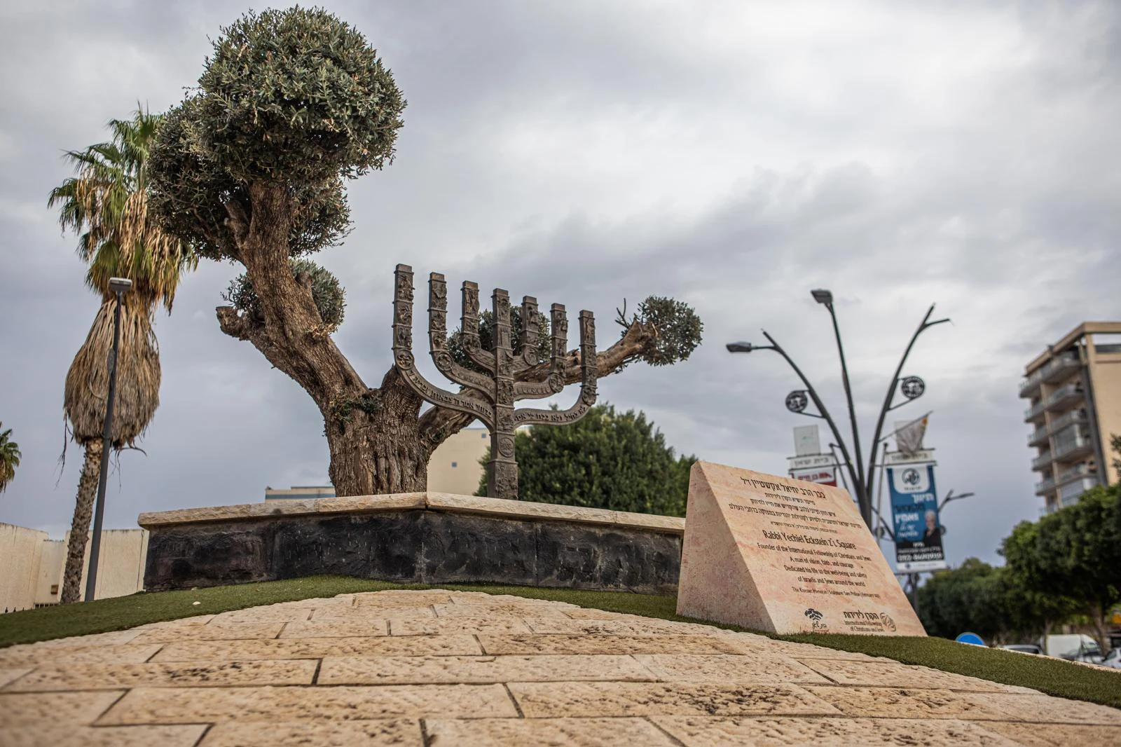 מנורת ברונזה משולבת בגזע וענפי עץ זית בכיכר עירונית, לצד לוחות הסבר